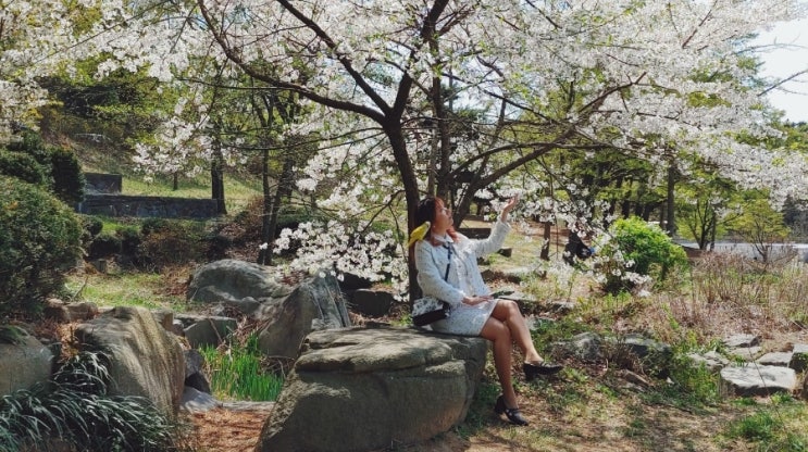  서울대 벚꽃 졸업생 나들이 (호암교수회관, 버들골 벚꽃 스냅 촬영, 서울대 미술관 전시관람)