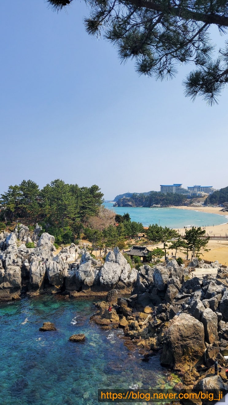  [강원도/고성/속초] 문어육개장 만석닭강정본점 포장 추암 출렁다리 가볼만한곳_여행2일차 총정리