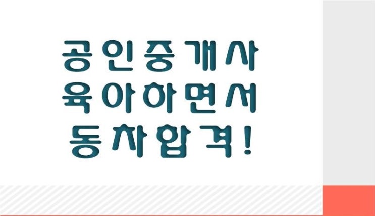  나의 목표는 33회 공인중개사 동차 합격(feat. 육아)과 공무원 퇴직