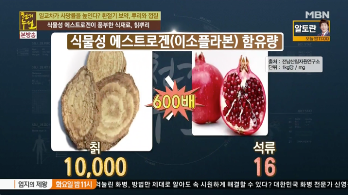  칡의 효능 및 부작용