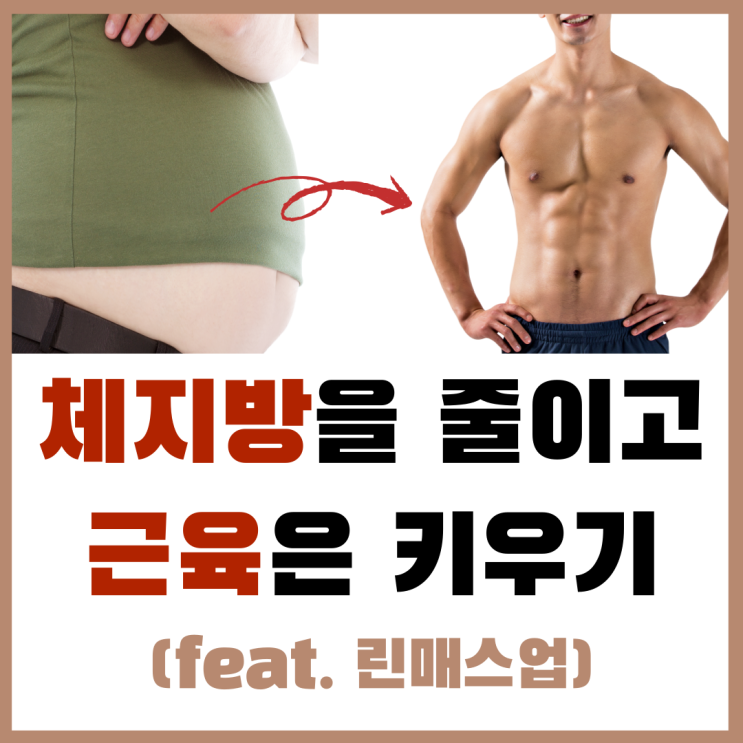  체지방을 줄이고 근육을 키우려면?(feat.린매스업)