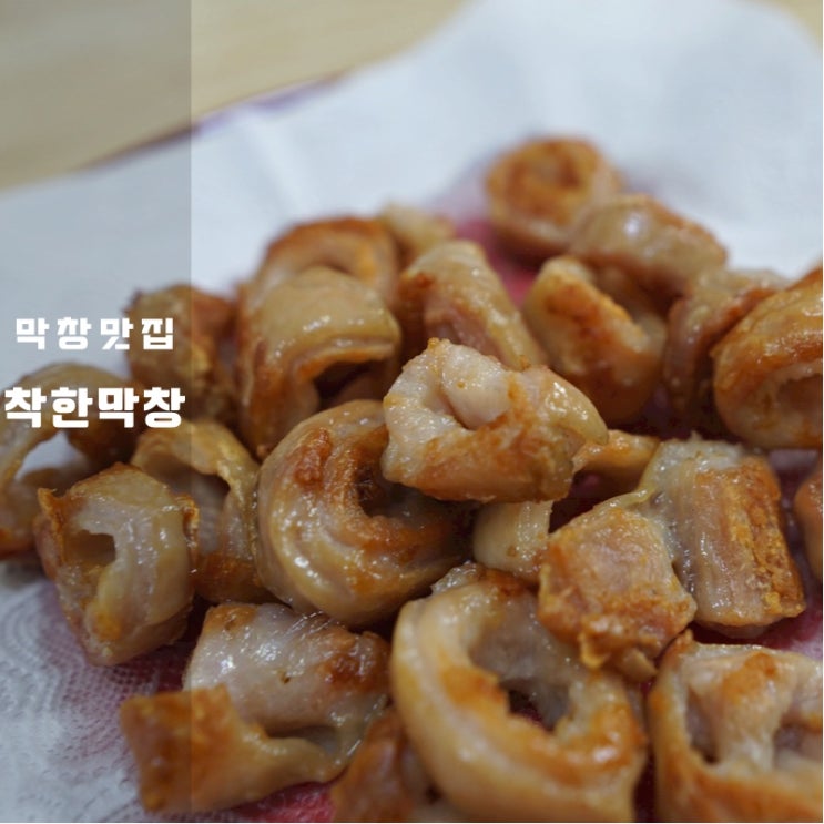  대전서구맛집 착한막창 관저점 후기 막창 집에서 만들기 방법 꿀팁