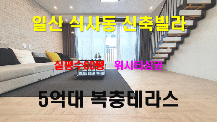  일산 식사동 신축빌라 실평수60평위시티상권 5억대 복층테라스