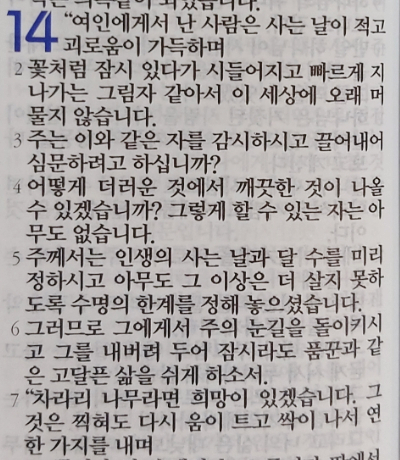욥의 시련(욥기) 14장 욥의 시련(욥기) 14장