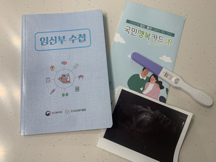 [임신 4주] 임신 테스트기, 임신확인(+TIP 임신 테스트기 사용시기)
