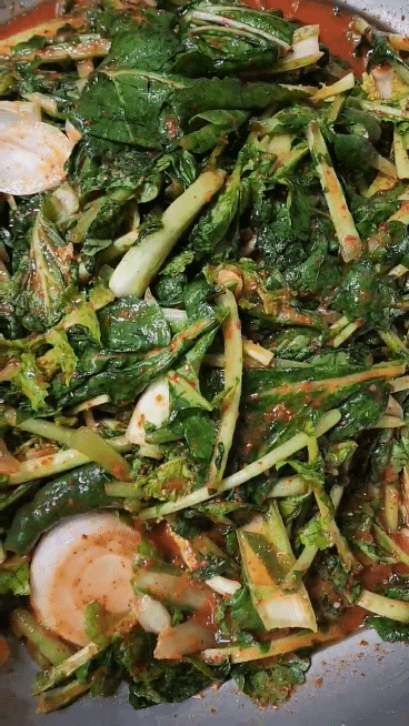 지금 맛있는 어린 열무 한단 얼갈이한단 국물자박하게 칼칼한 열무김치