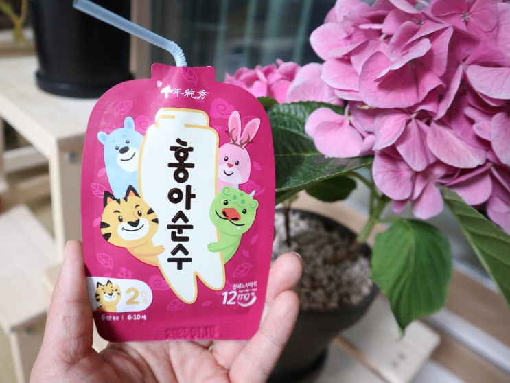  키즈홍삼 홍삼은원래갈색 홍아순수 2단계 호야