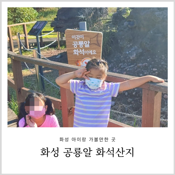 화성 공룡알화석산지 화성지질공원 아이랑 유모차 필수인곳