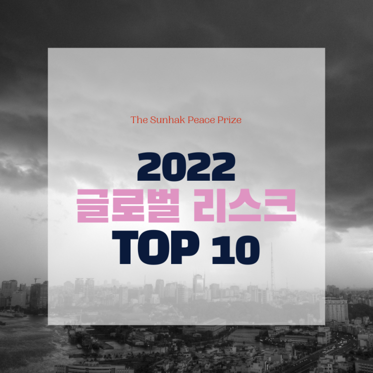  2022 글로벌 리스크 Top 10