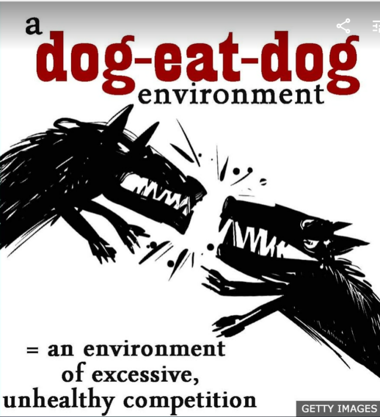  [영어] a dog-eat-dog