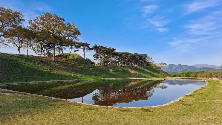  경주 새로운 볼거리 월성 해자