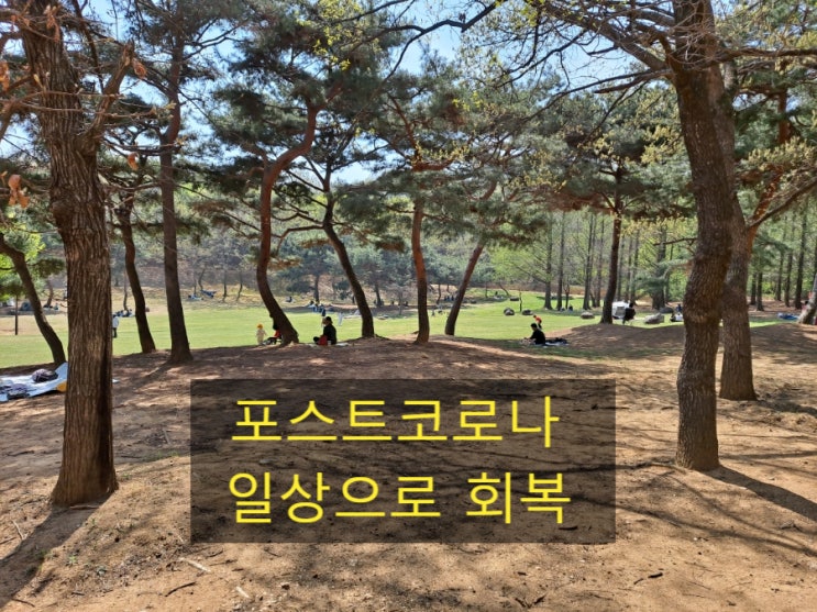  코로나19 사회적 거리두기 전면 해제와 감염병 등급 하향 조정으로 본 포스트 코로나 대응 체계