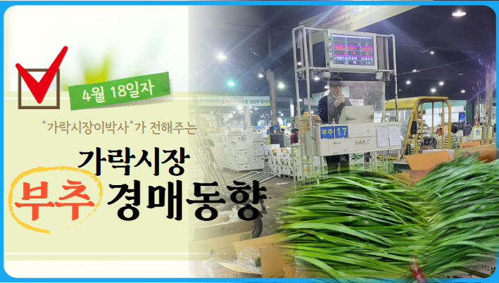  [경매사 일일보고] 가락시장 4월 18일자 "부추" 경매동향을 살펴보겠습니다!