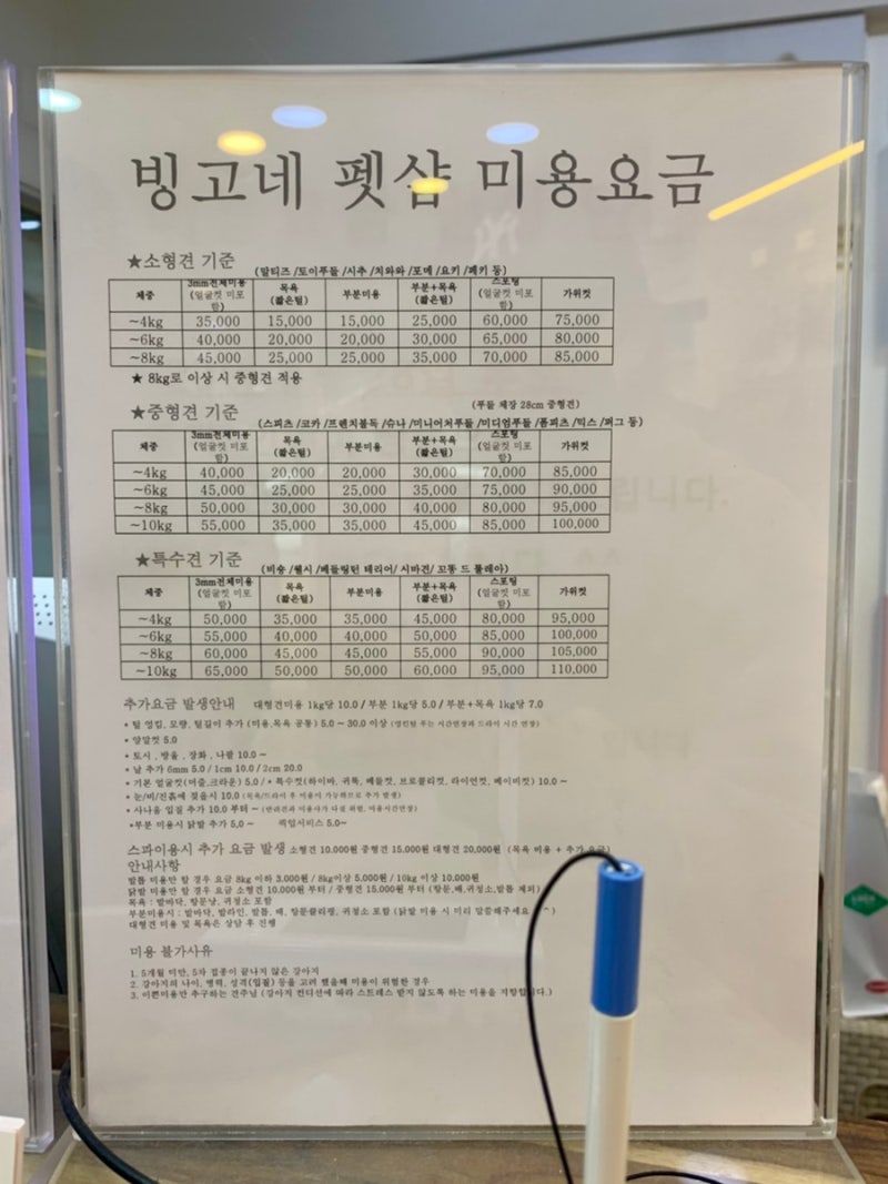 사진 3