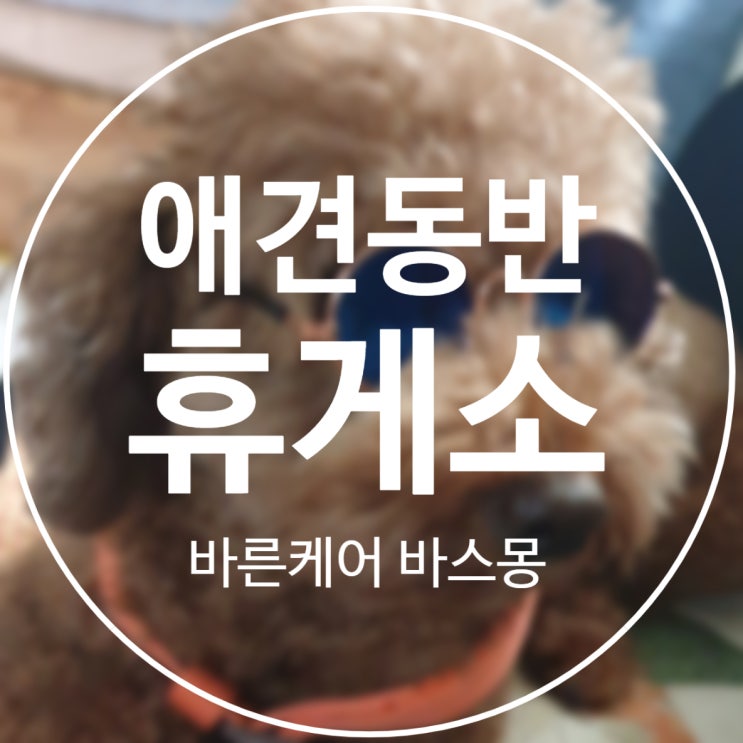  애견 동반 휴게소