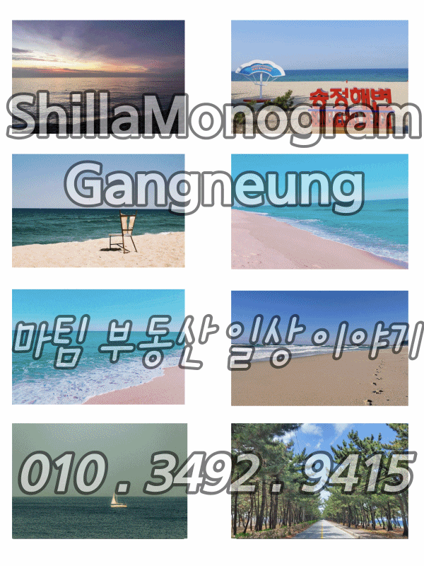  신라모노그램강릉분양가