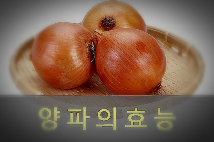  생양파, 양파, 껍질차 효능과 부작용, 영양성분