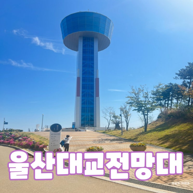  울산 아이랑 가볼 만한 곳 울산대교 전망대로 출발!