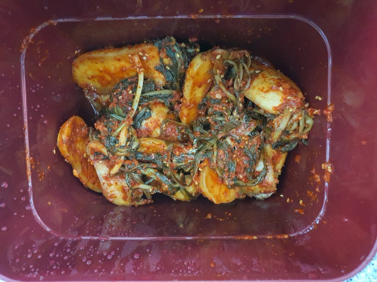  총각무 재활용 오랜 된 김치 총각무 활용 방법 꿀팁