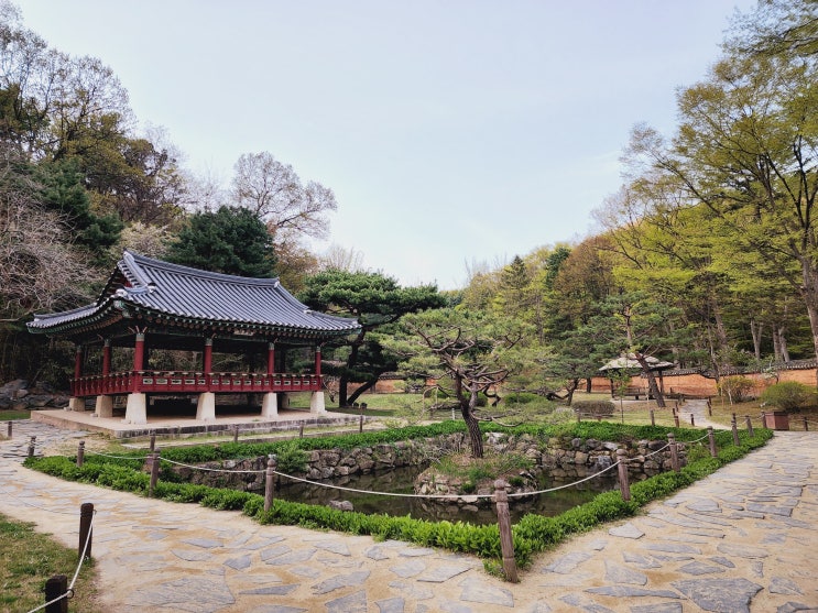  경기도 가볼만한곳 용인 한국민속촌 입장료 할인부터 한복, 봄의 풍경까지 자세하게.