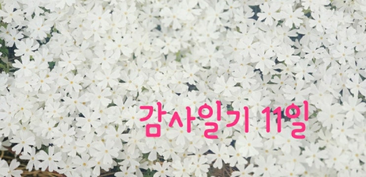  [감사 일기 11일] 가족에 대해 감사를 찾는다