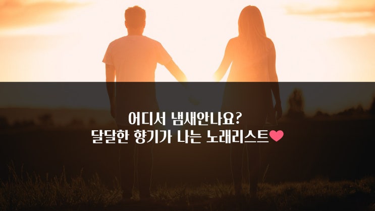  어디서 냄새안나요? 달달한 향기가 나는 노래리스트〰