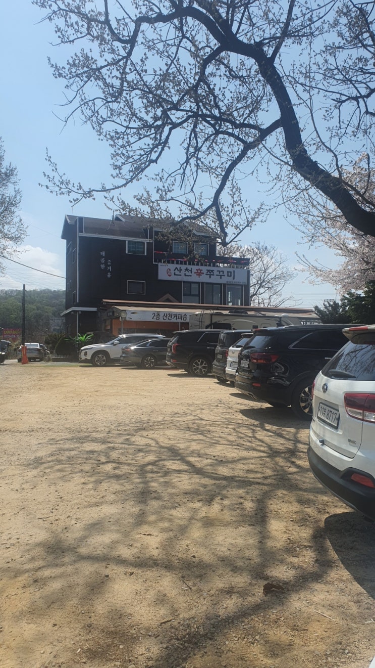  활기찬 월요일 주꾸미 먹으러 주꾸미볶음 맛집
