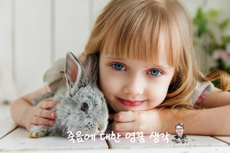  사회적 죽음에 대한 오지랖 - 영꿈아재 단상