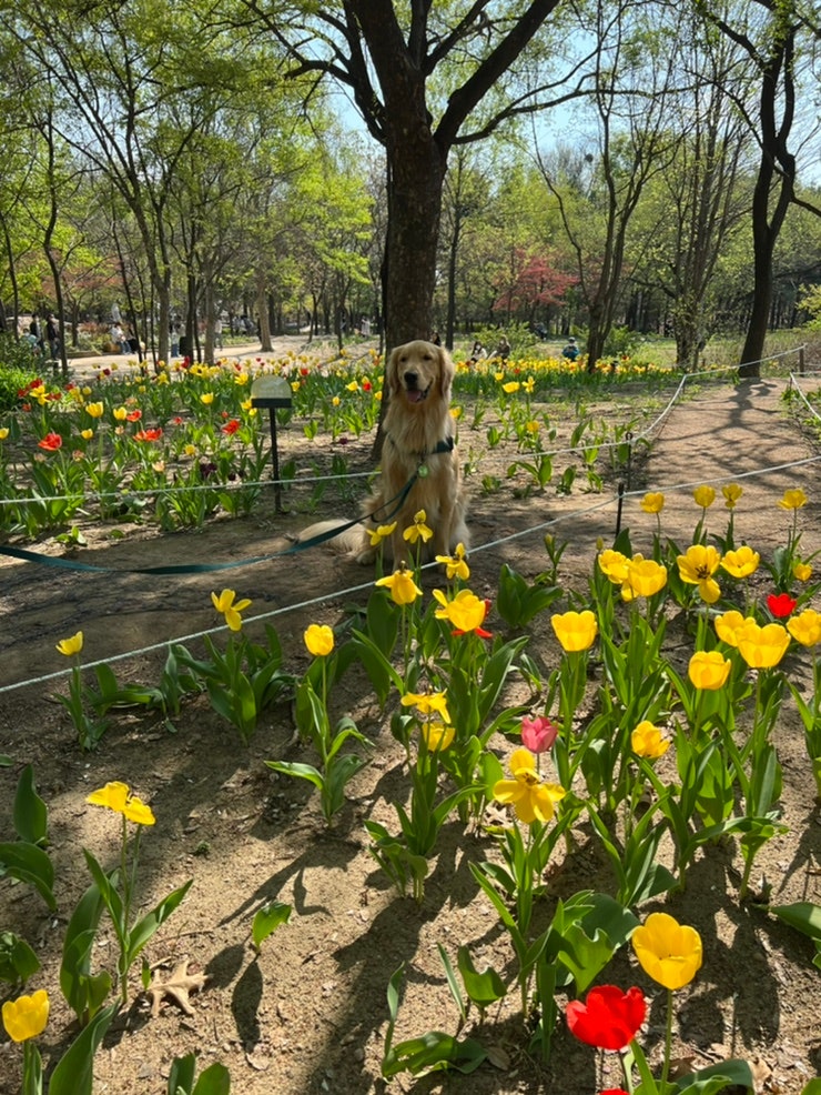사진 10