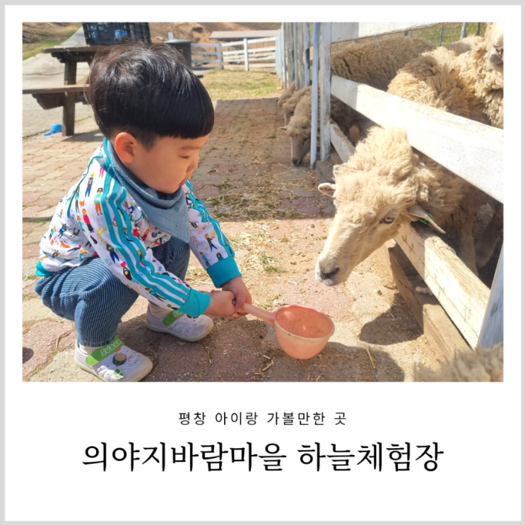 강원도 체험장 평창 아이랑 가볼만한곳 의야지바람마을 하늘체험장 강원도 체험장 평창 아이랑 가볼만한곳 의야지바람마을 하늘체험장