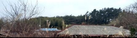 왕가산 사진 6