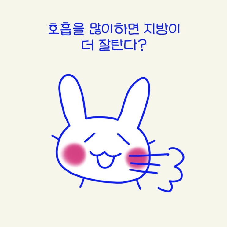  지방을 어떻게 태울까요? (지방 타는, 태우는, 소모되는 원리)