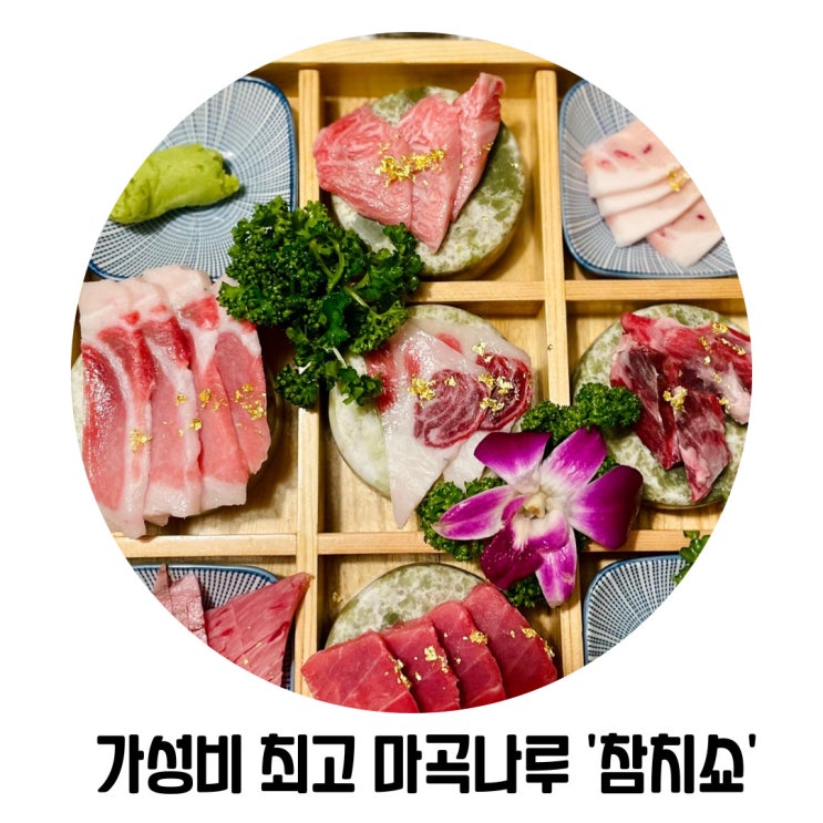 [마곡나루 횟집] 가성비 좋은 마곡나루 참치집 '참치쇼'