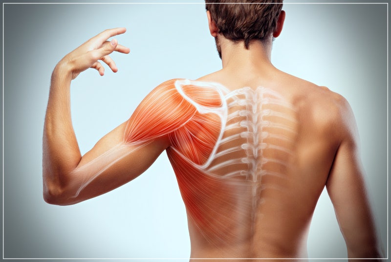 강릉정형외과 어깨관절와순파열 특징은? 7