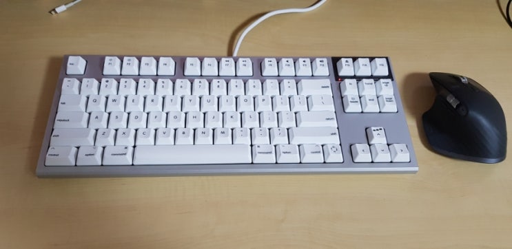  [후기] 리얼포스(Realforce) for Mac 무접점 텐키리스 45g