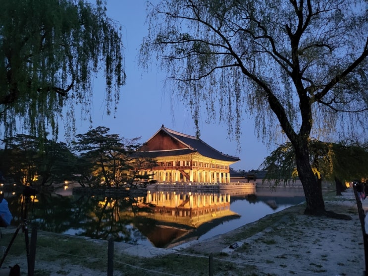  경복궁 야간관람 후기