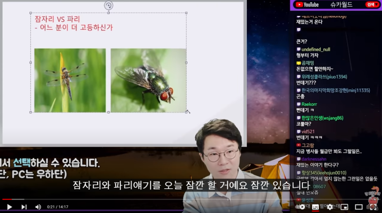  슈카님과 함께 알아보는 충격적인 애벌레의 변태과정(채널 : 슈카월드)