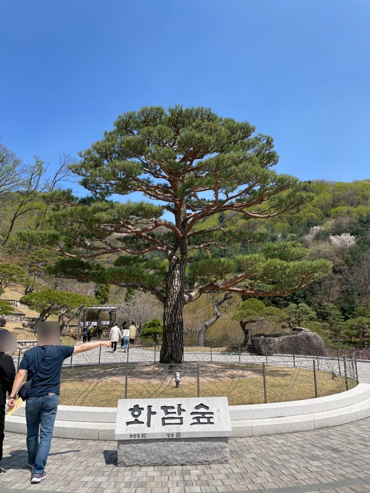  봄 여행지 가볼만한 곳 화담숲 방문기 온라인 예약하는 방법