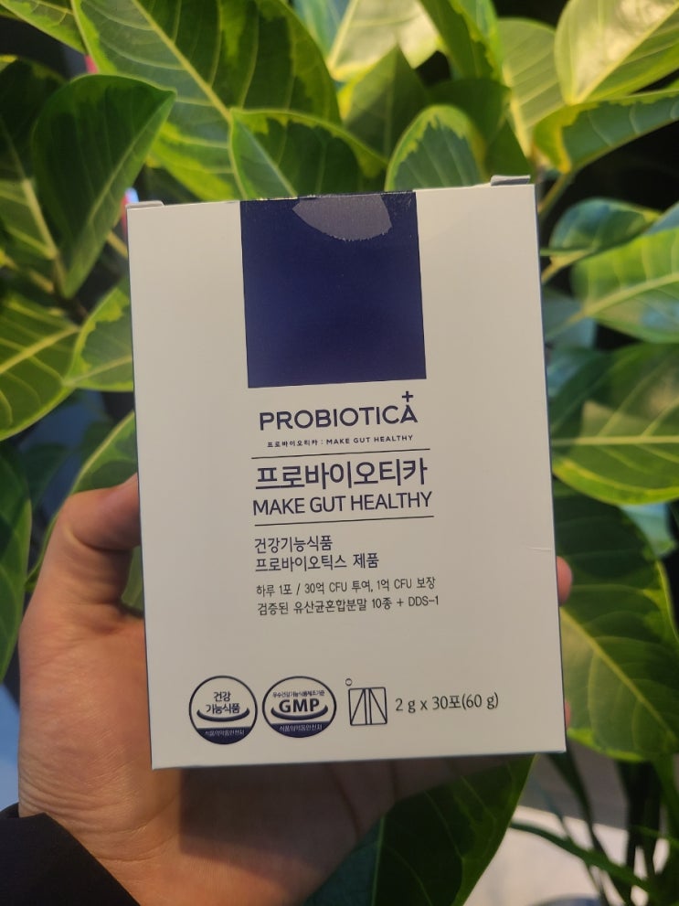  맛있는 우유맛 유산균 프로바이오티카로 건강한 장관리 추천합니다