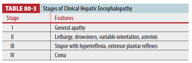 HEP(Hepatic encephalopathy), 간성혼수.