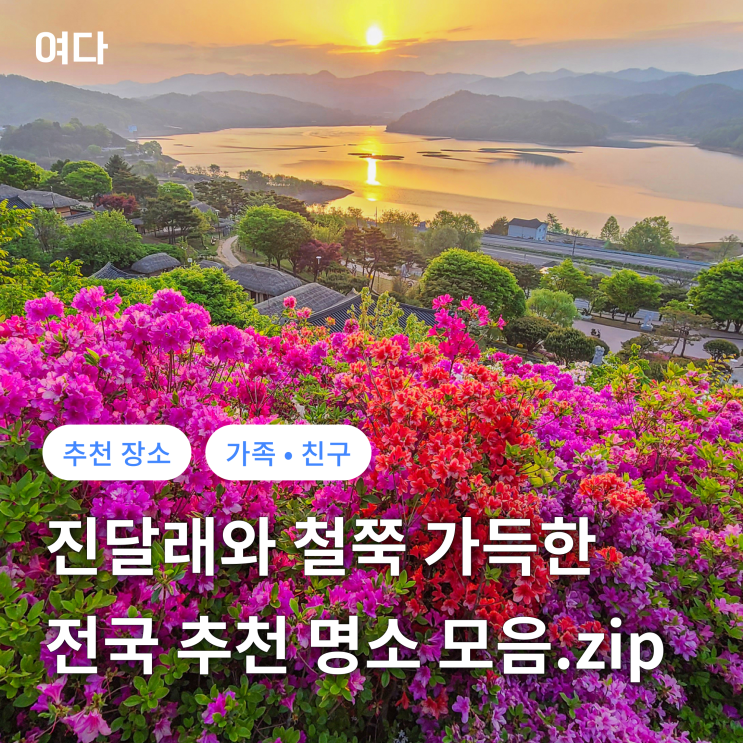  [추천 여행지] 진달래와 철쭉 가득한 전국 추천 스팟 모음. 2탄!