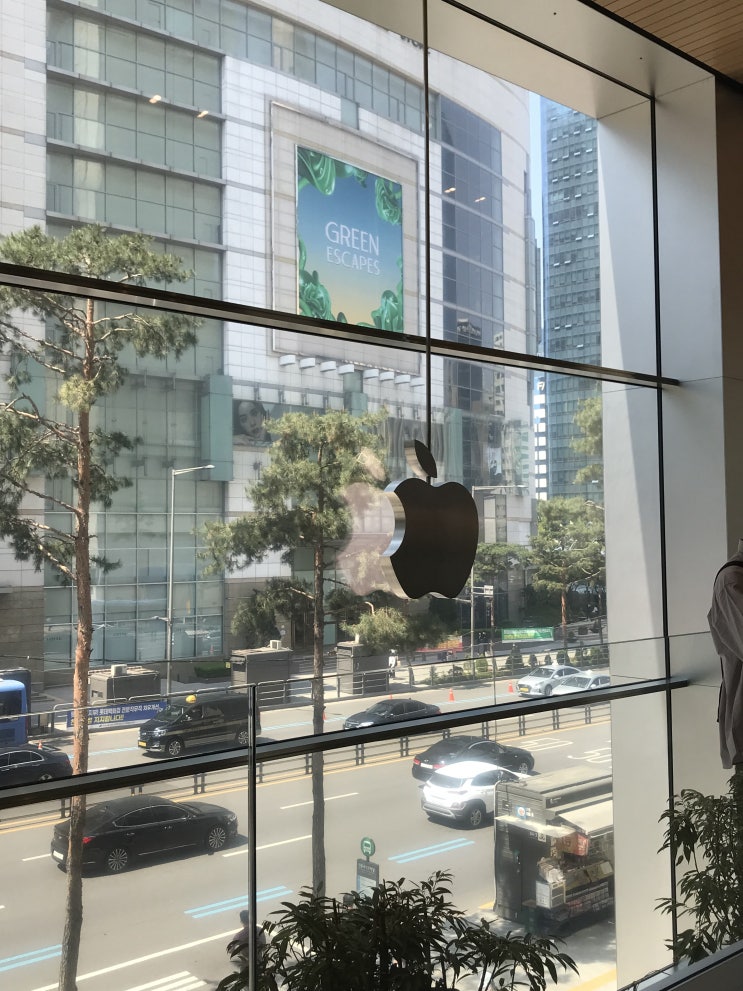  명동 애플스토어에서 아이폰13 프로 사고왔어요 (전색상 비교)