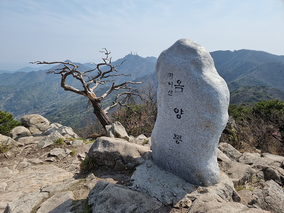 보해맛동산 사진 1