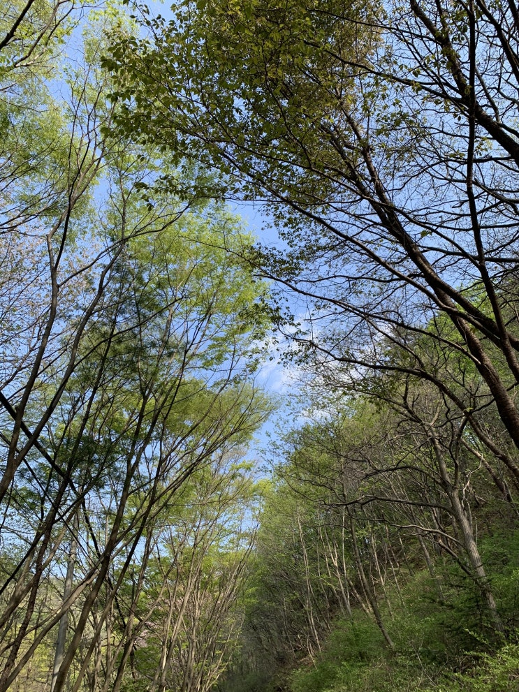  즐거운 계족산 장동산림욕장 산책!!