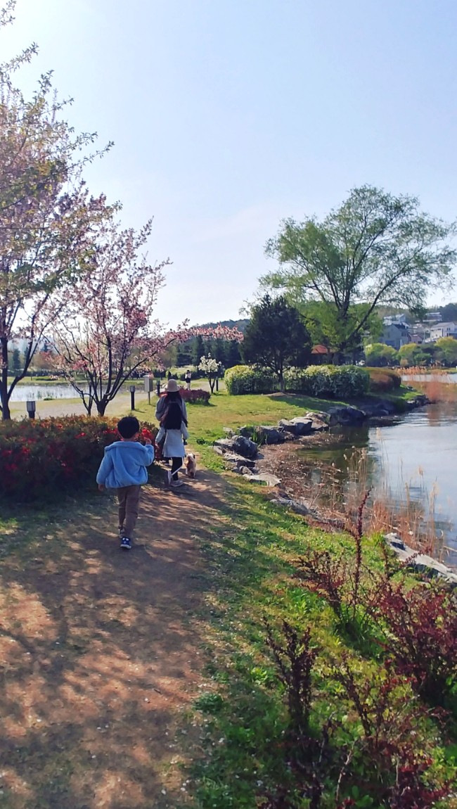  서울 경기도 근교 아이들과 가기 좋은 곳, 아산 신정호 유원지(신정호수 공원).