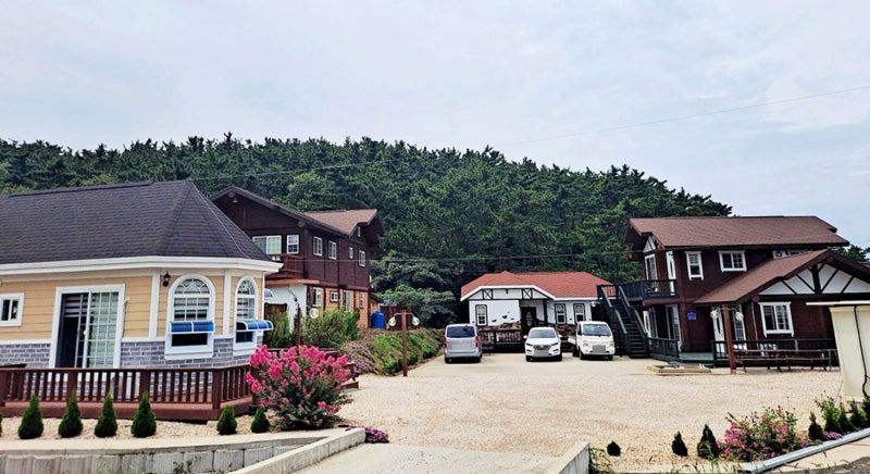 사진 4