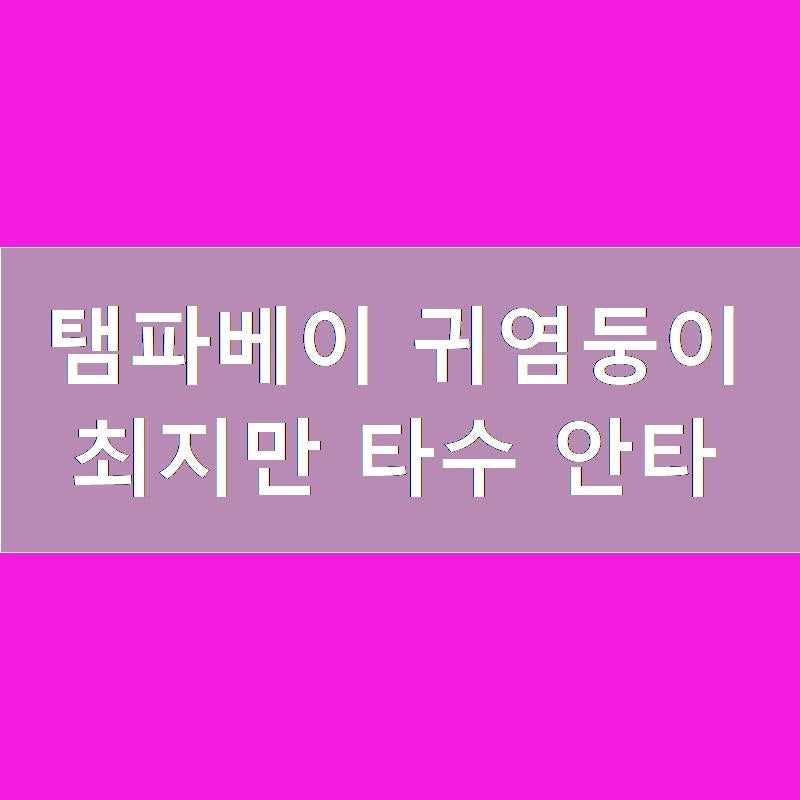 탬파베이 귀염둥이 최지만 타수 안타
