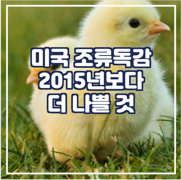  [국제뉴스] 미국 조류독감 2015년보다 더 나쁠것