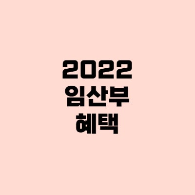 2022년 임산부 혜택 - 서울시 임산부 교통비 등