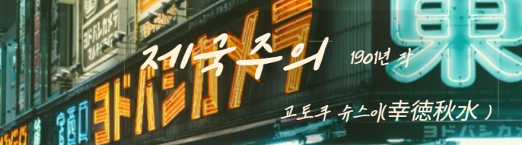  제국주의-제 Ⅵ장 2절